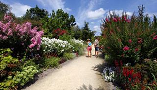 La promenade fleurie 